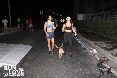 Run for Love 2024